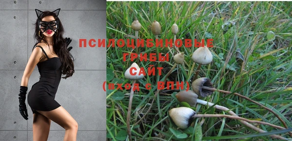 наркотики Магас