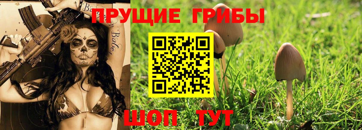 Майкоп  Галлюциногенные грибы Cubensis  Псилоцибиновые грибы прущие грибы  Вход с VPN 